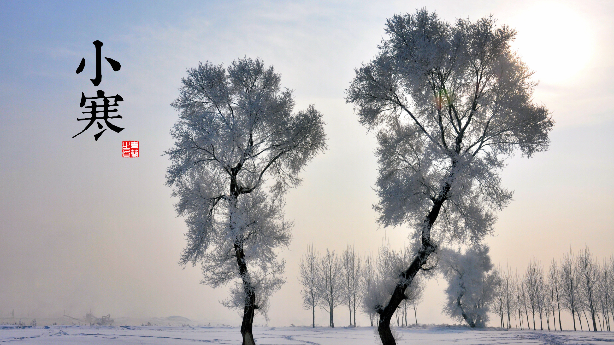 Solar Terms Seasons Winter Snow Trees Chinese Characters Wallpaper:2560x1440