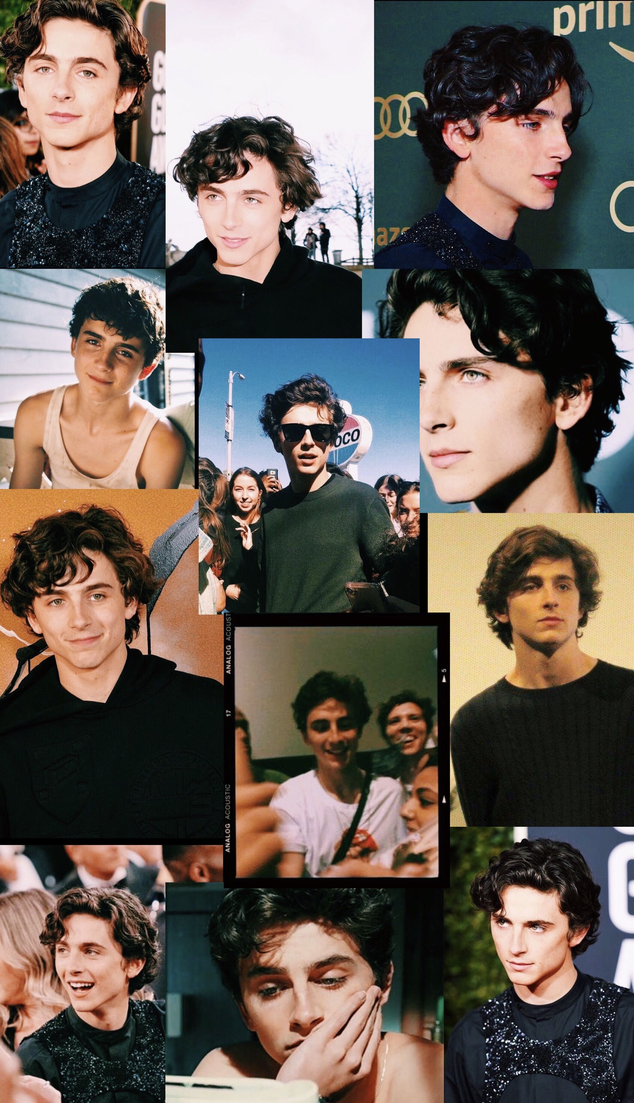 Timothée Chalamet Collage Wallpapers - Wallpaper Cave