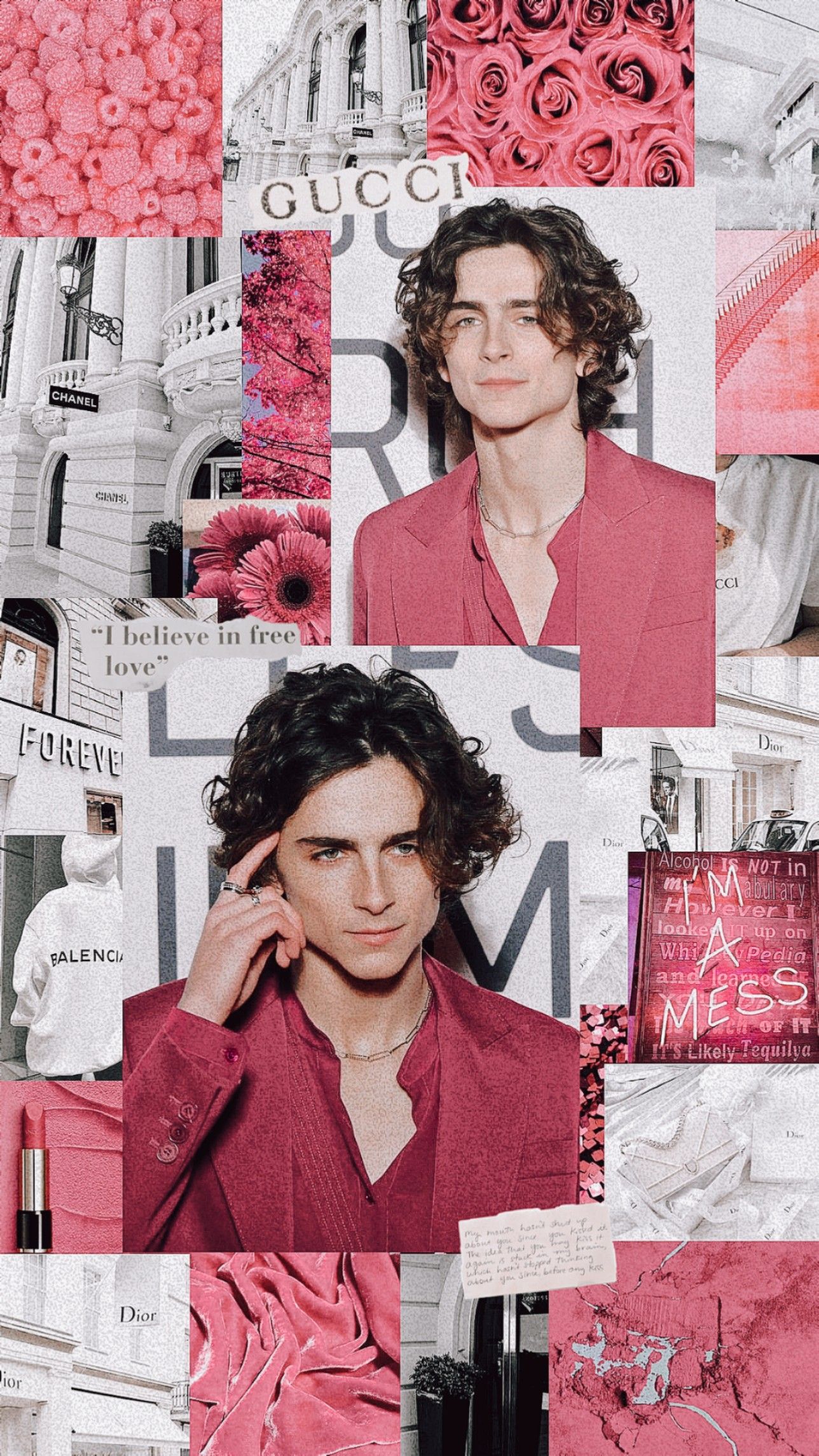 Timothée Chalamet Collage Wallpapers - Wallpaper Cave