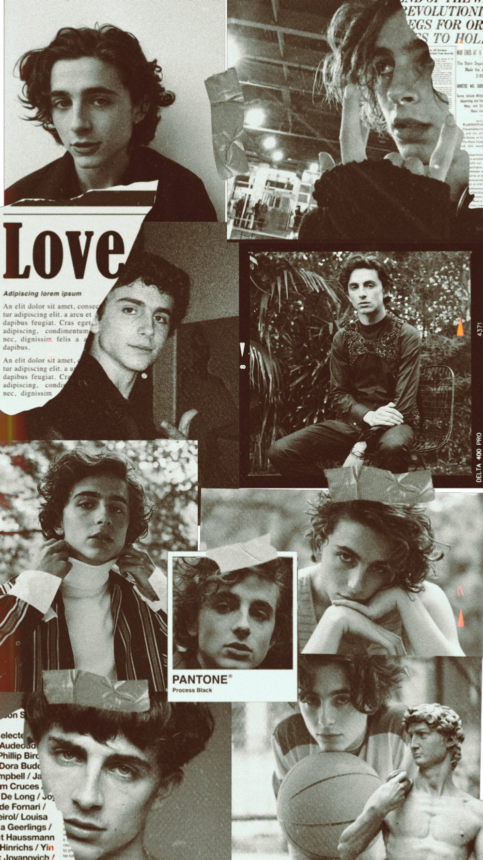 freetoedit #timotheechalamet #wallpaper. Timothee chalamet, Cute wallpaper, Wallpaper