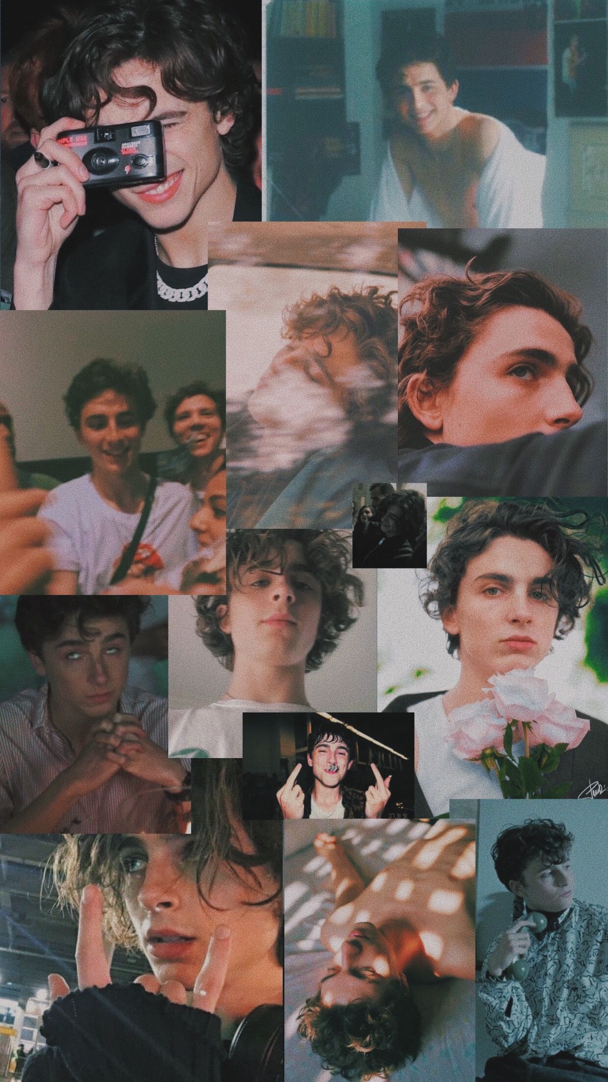 Timothee Chalamet Aesthetic Wallpaper