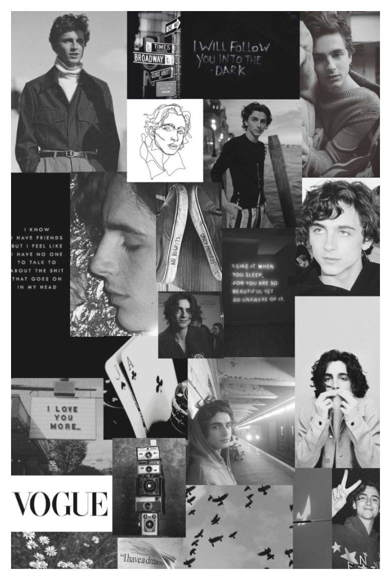 timothée Chalamet collage wallpaper