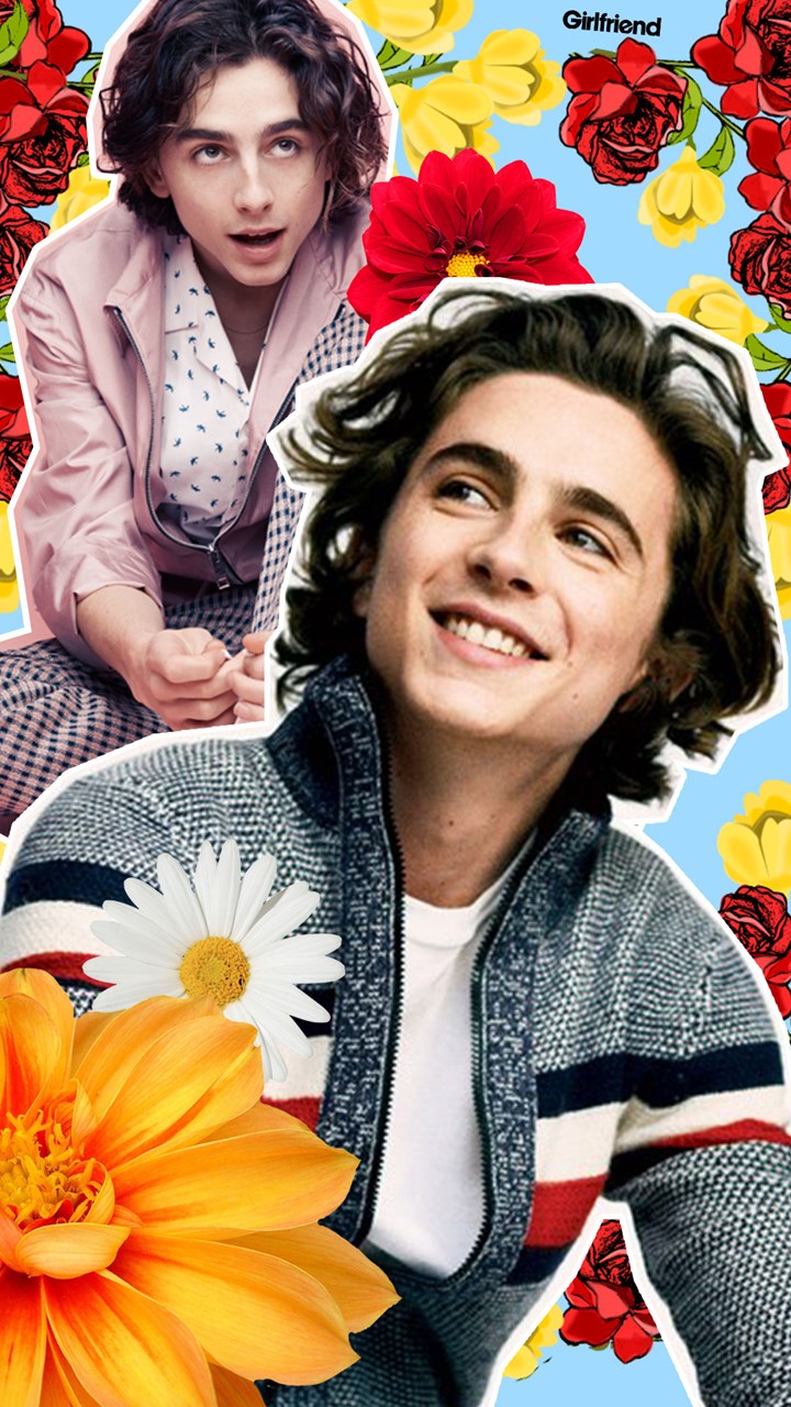 Wallpaper Wednesdays! This week: regulation hottie Timothée Chalamet