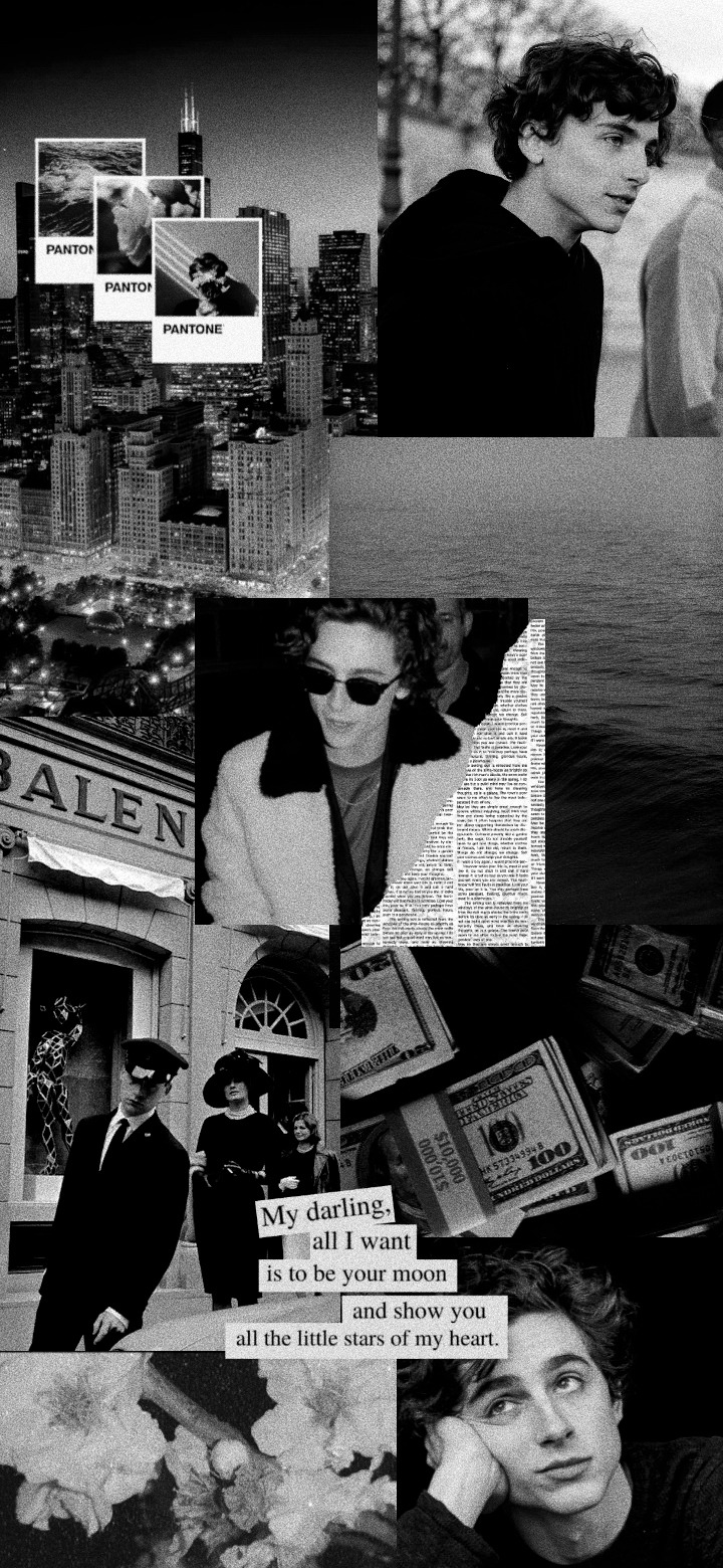 wallpaper timothee chalamet