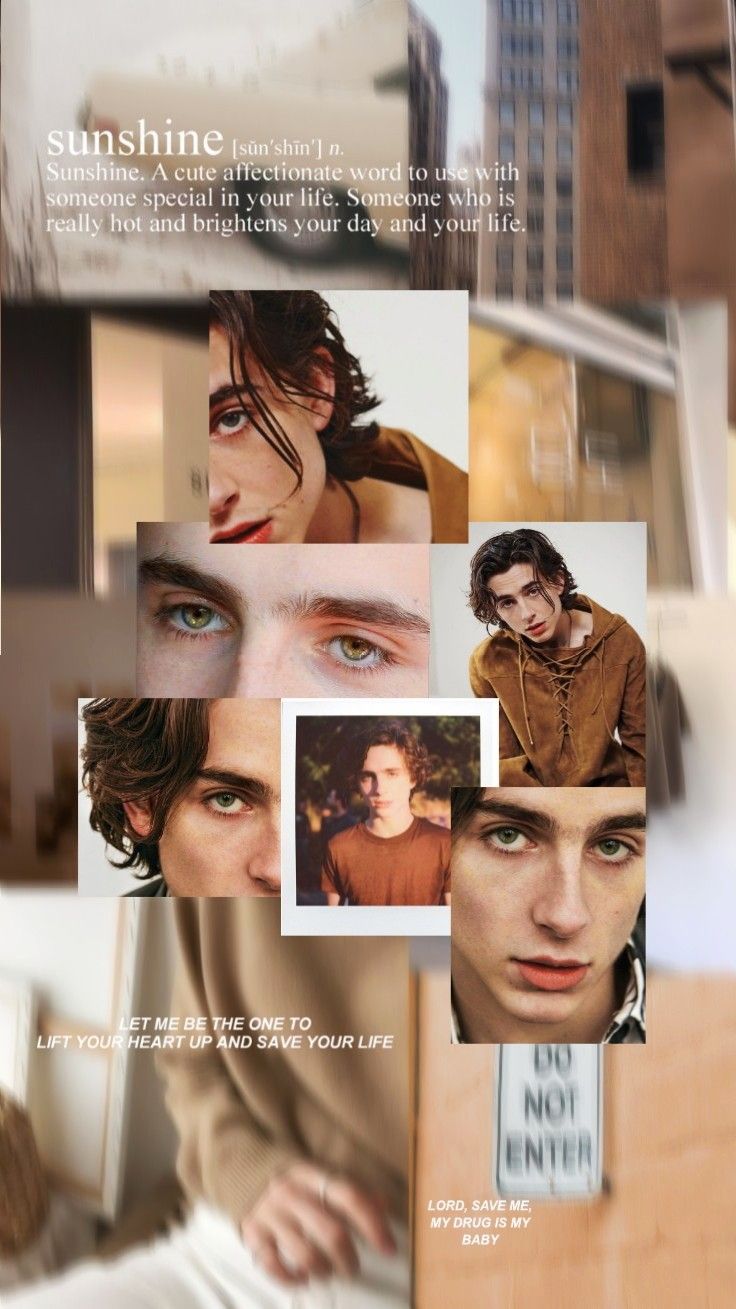 Timothée Chalamet Wallpaper. Timothee chalamet, Thimotée chalamet, Timmy t