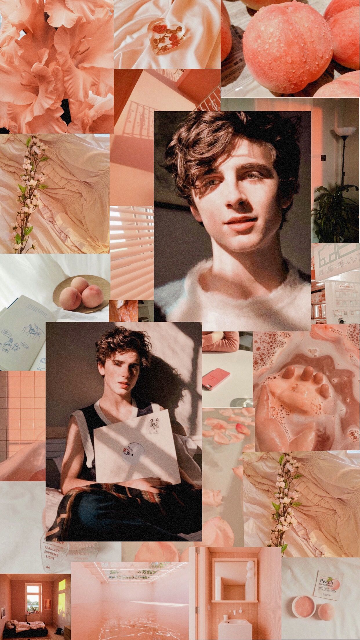 Timothee Chalamet wallpaper. Timothee chalamet, Aesthetic wallpaper, iPhone wallpaper