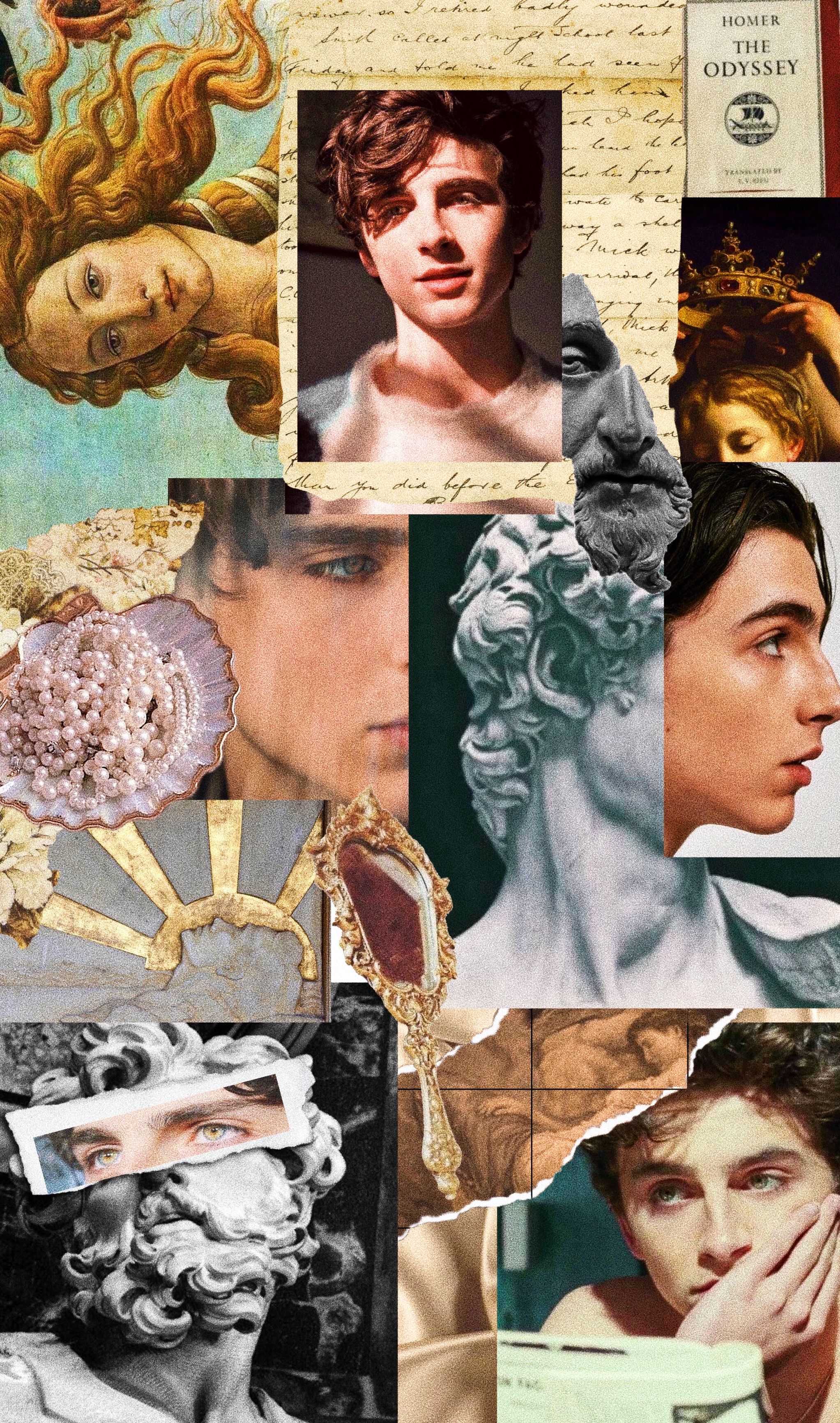 Timothee chalamet. Timothee chalamet, Aesthetic art, Cute wallpaper