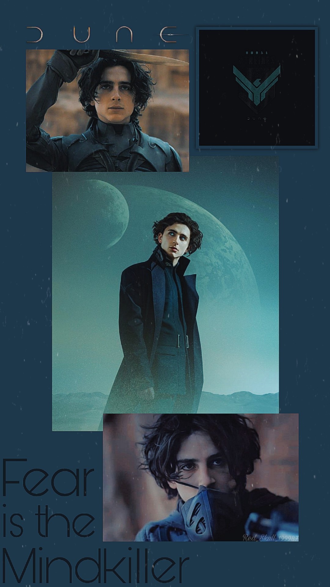 timothee wallpaper Tumblr posts