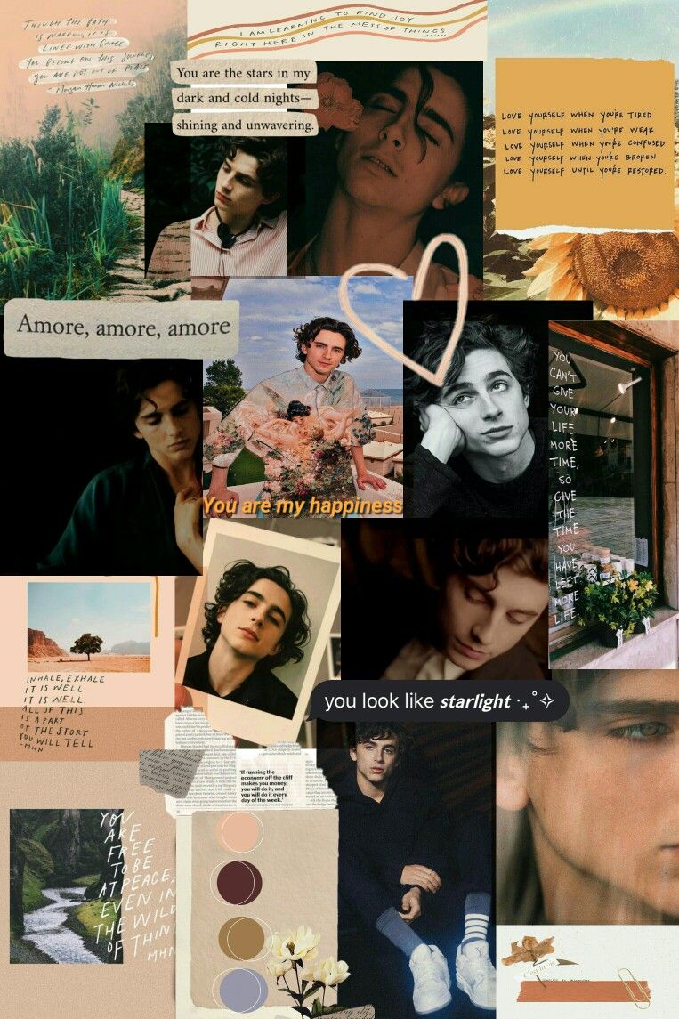 Timothée Chalamet Collage Wallpapers - Wallpaper Cave