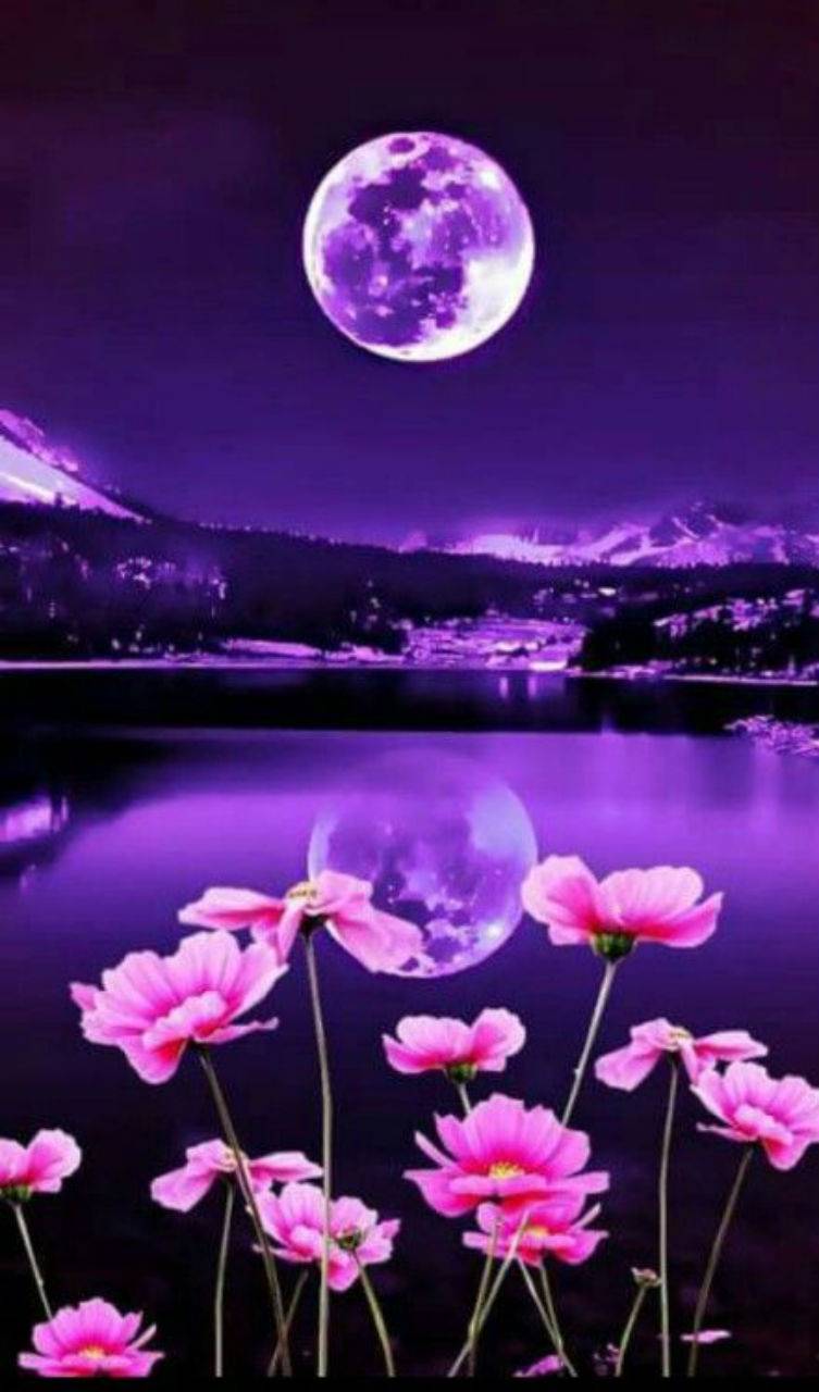 Flowers and Moon Wallpaper Free Flowers and Moon Background