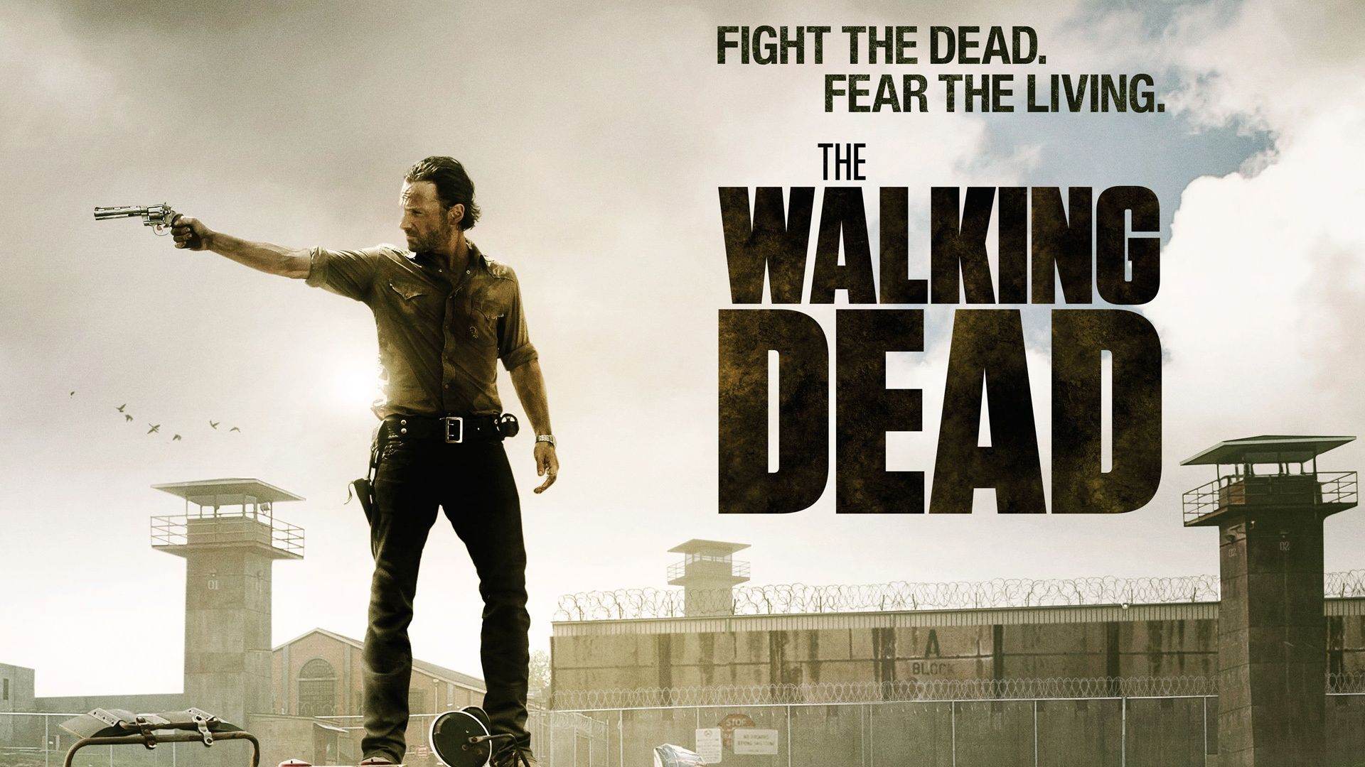 The Walking Dead wallpaper. The walking dead, Serie tv, Tv
