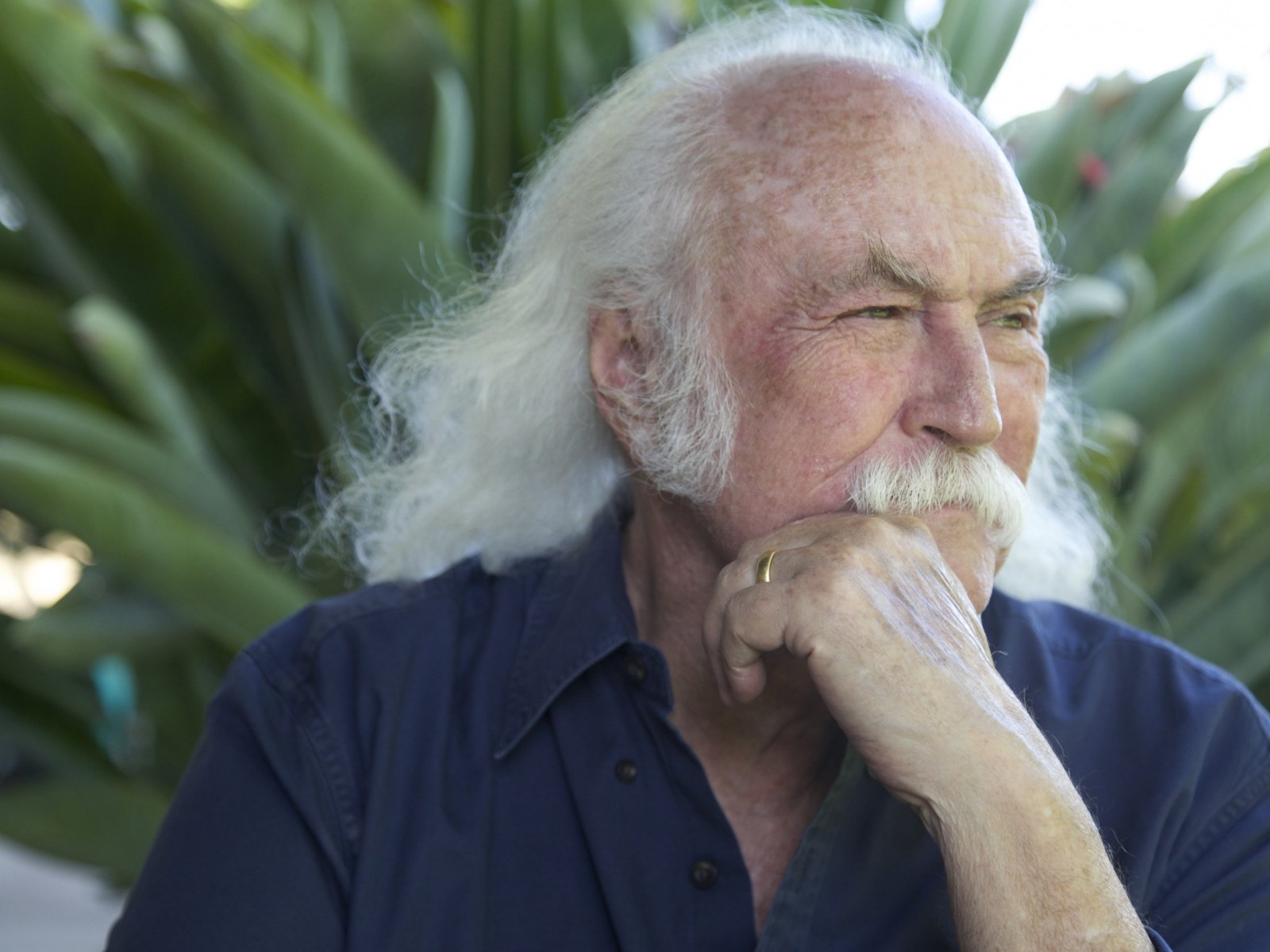 The David Crosby Guide to the Santa Ynez Valley