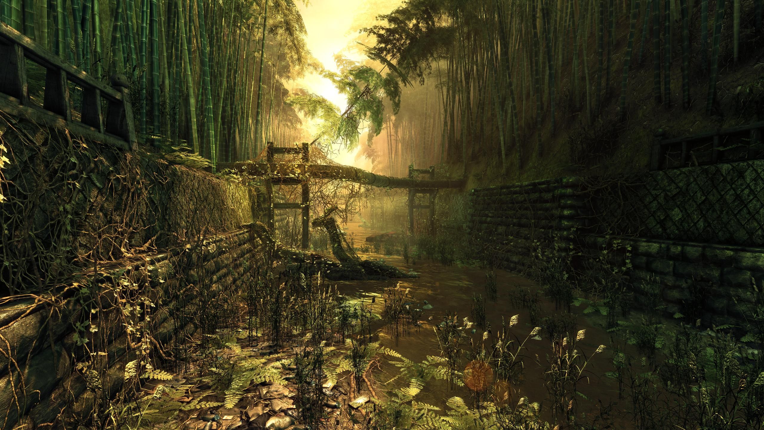 Bamboo forest. Uhd wallpaper, Gaming wallpaper, Wallpaper