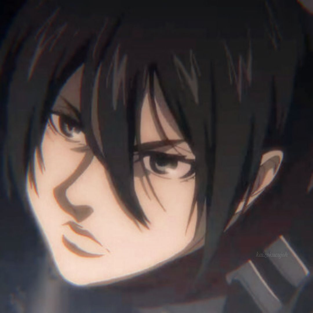 Mikasa Ackerman Aot Manga Icon