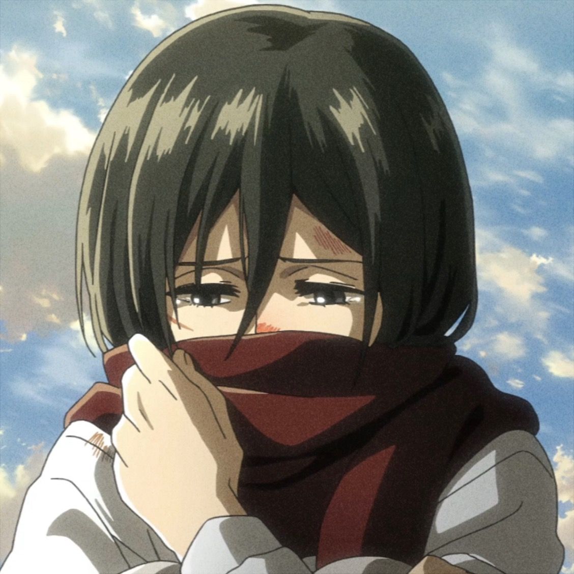 Download mikasa】mikasa image for free