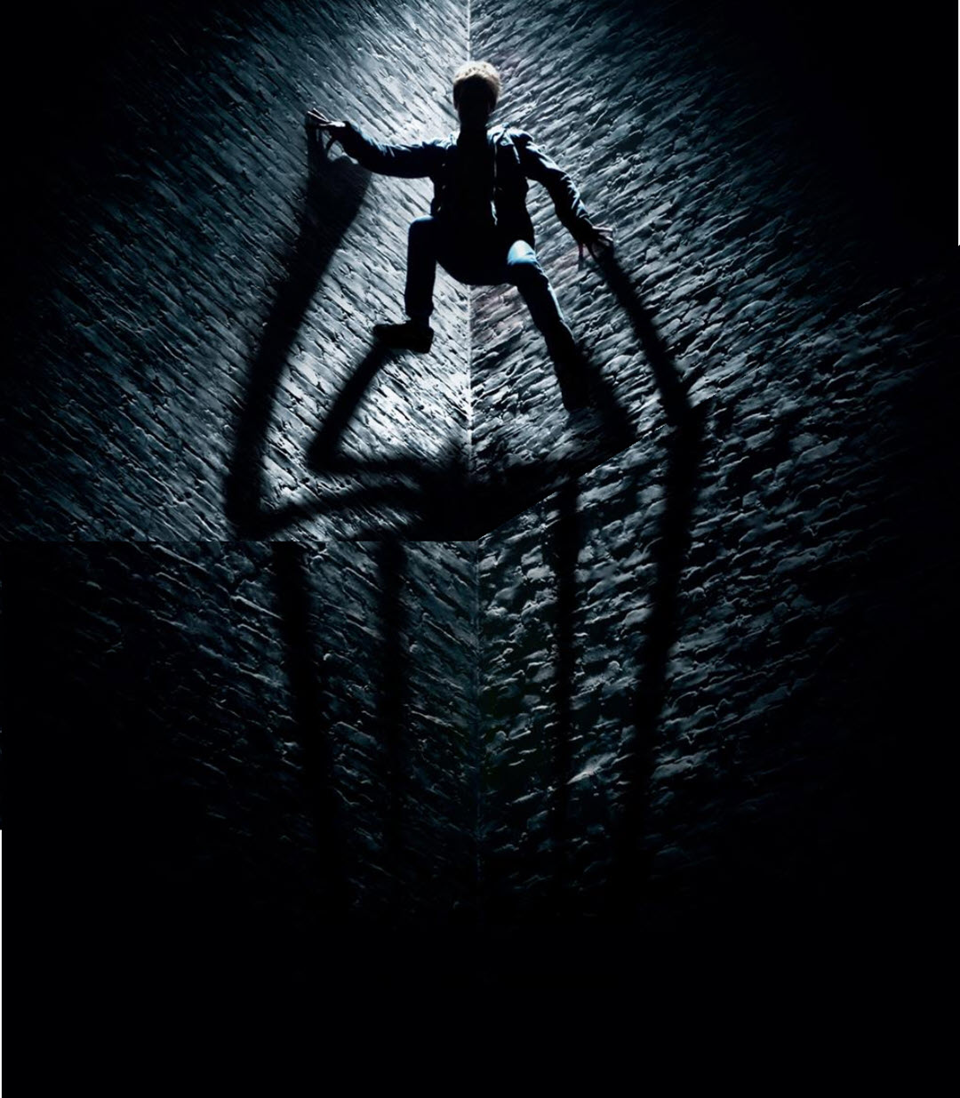 Free download Spiderman wallpaper for iPhone 11 CandidTechnology [1080x1235] for your Desktop, Mobile & Tablet. Explore Trampoline Wallpaper