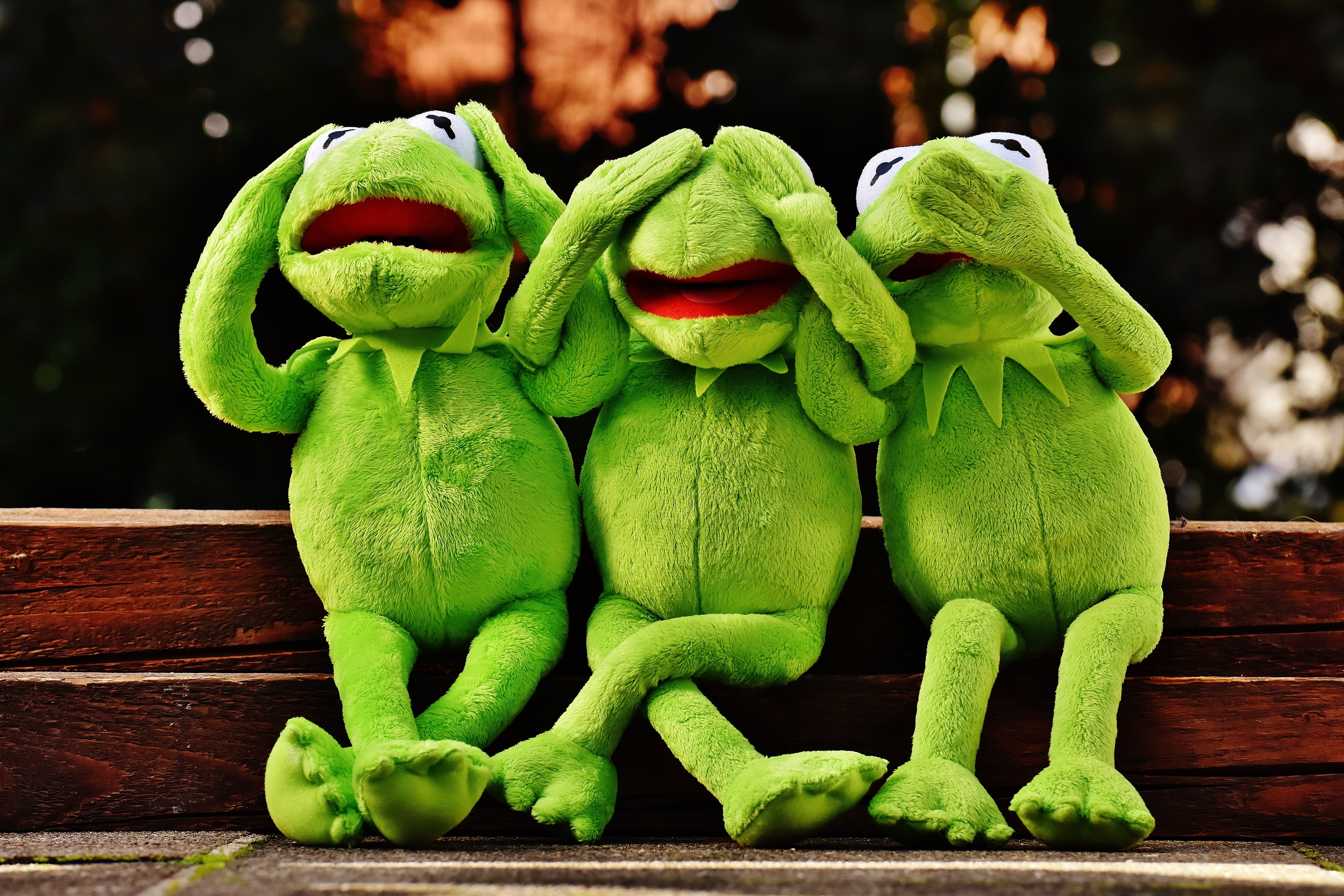 Kermit Fun Wallpaper & Background Download