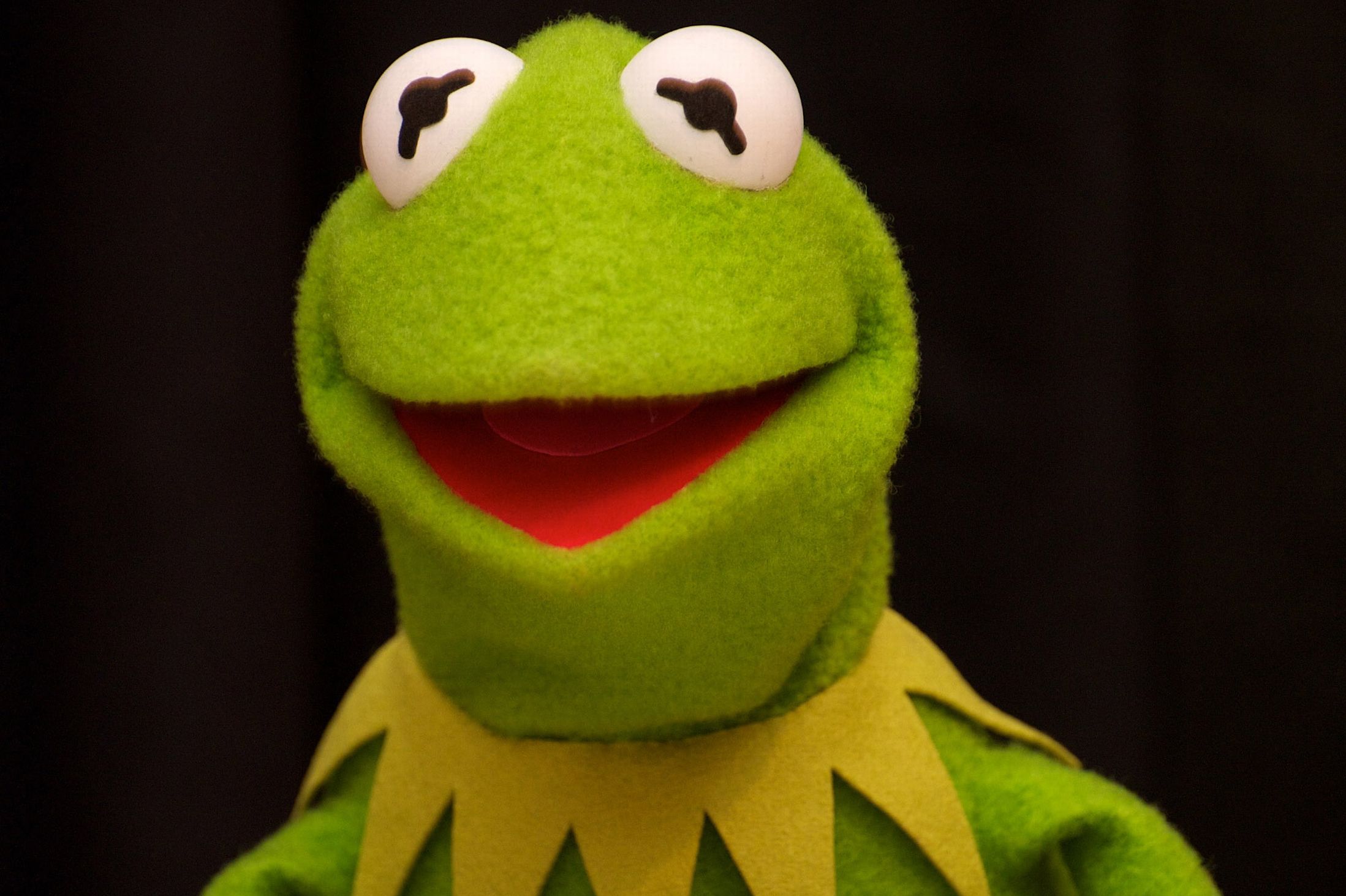 kermit wallpaper, green, frog, toy, stuffed toy, puppet