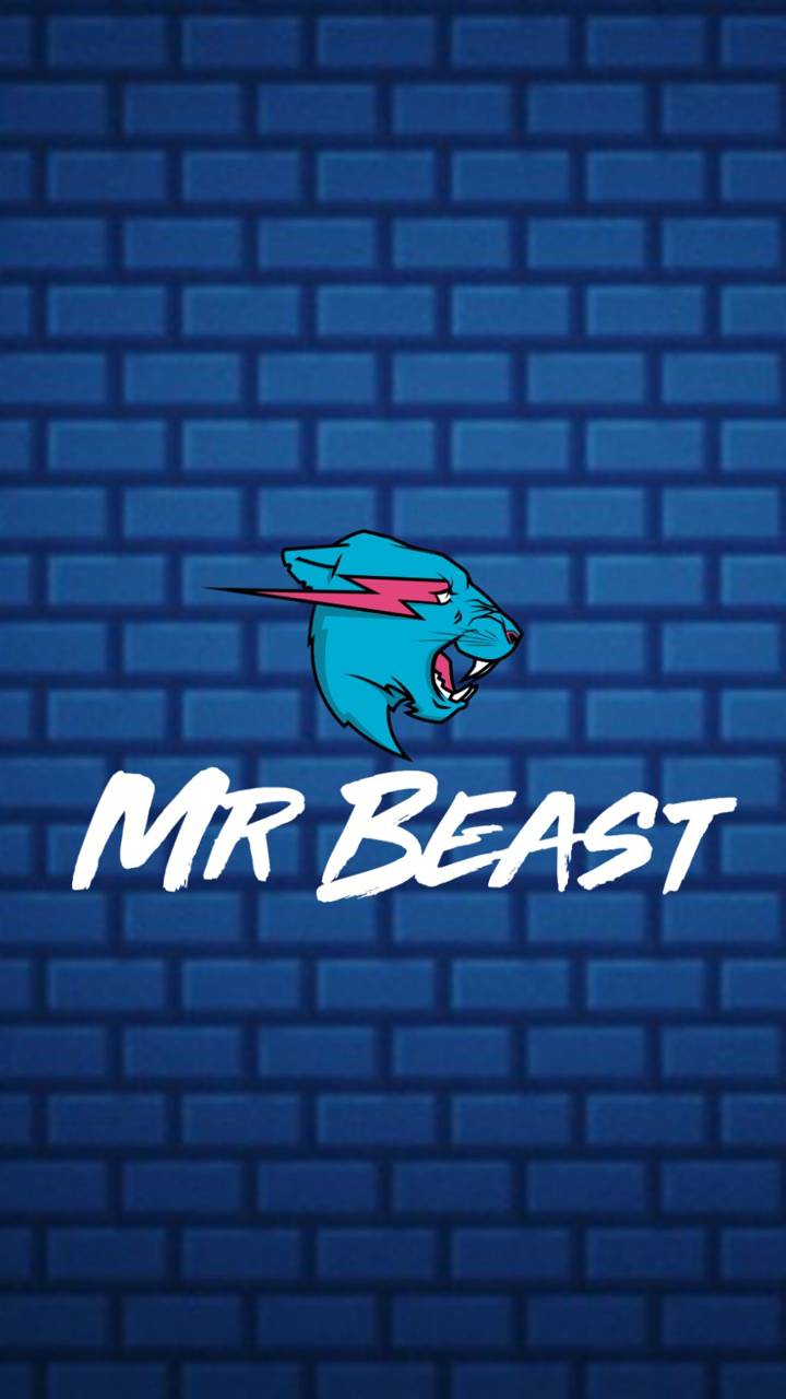 Mr Beast Wallpaper Free Mr Beast Background