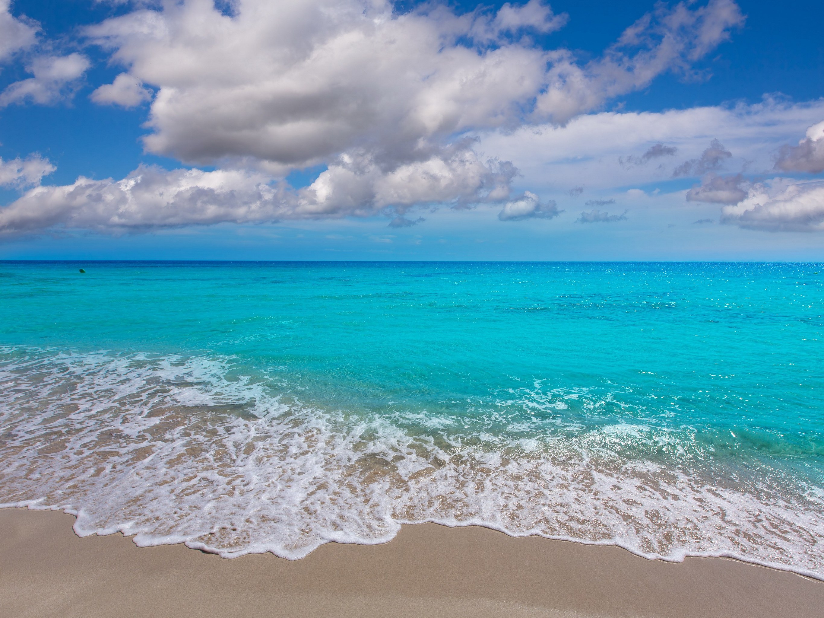 Background HD Wallpaper