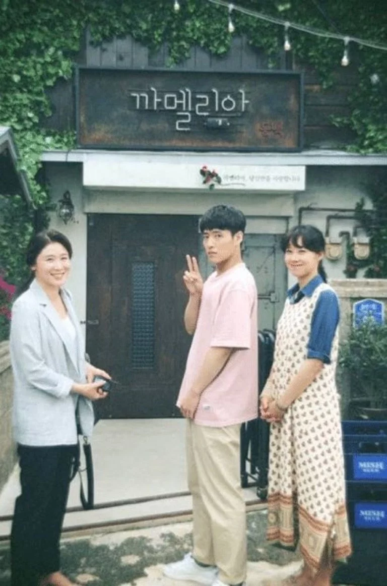 When The Camellia Blooms Wallpapers Wallpaper Cave