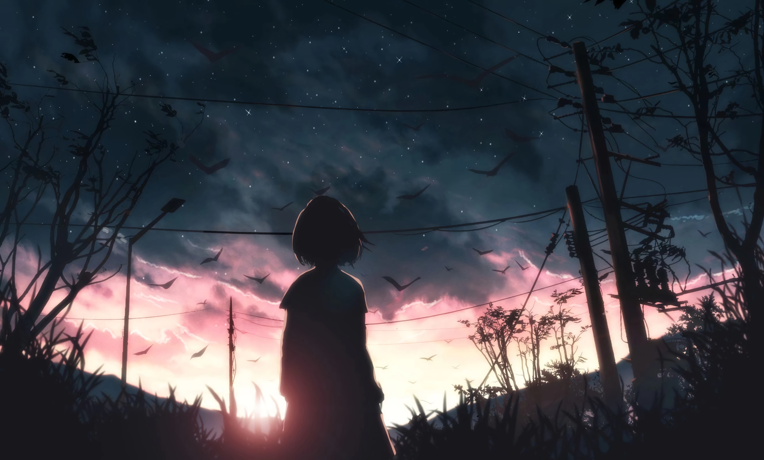 Wallpaper, anime, birds, sunset, sky blue, power lines, silhouette 2655x1600
