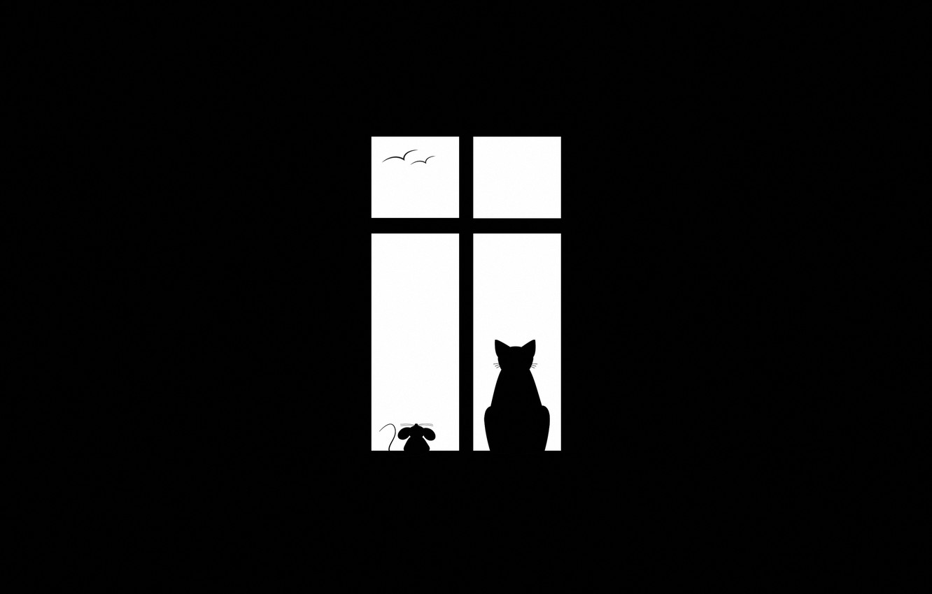 Wallpaper cat, birds, minimalism, mouse, window, friends, Friendship image for desktop, section минимализм
