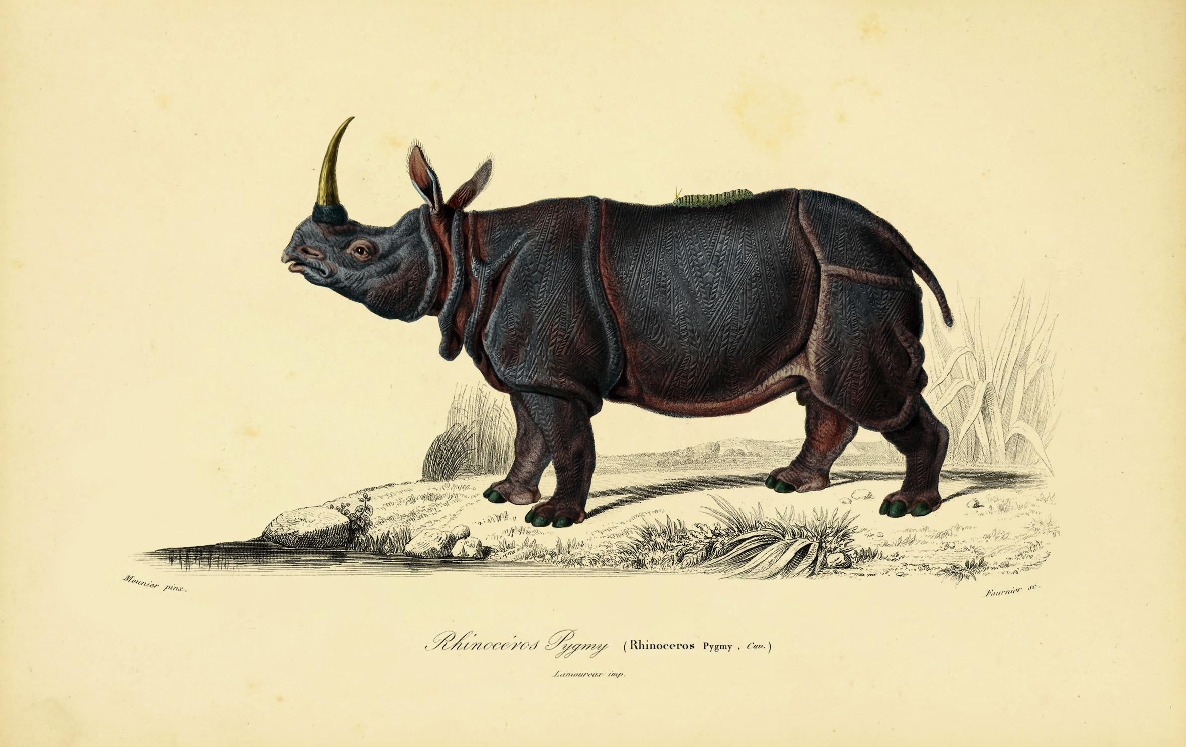 Moooi pays tribute to extinct animals with range of wallpaper