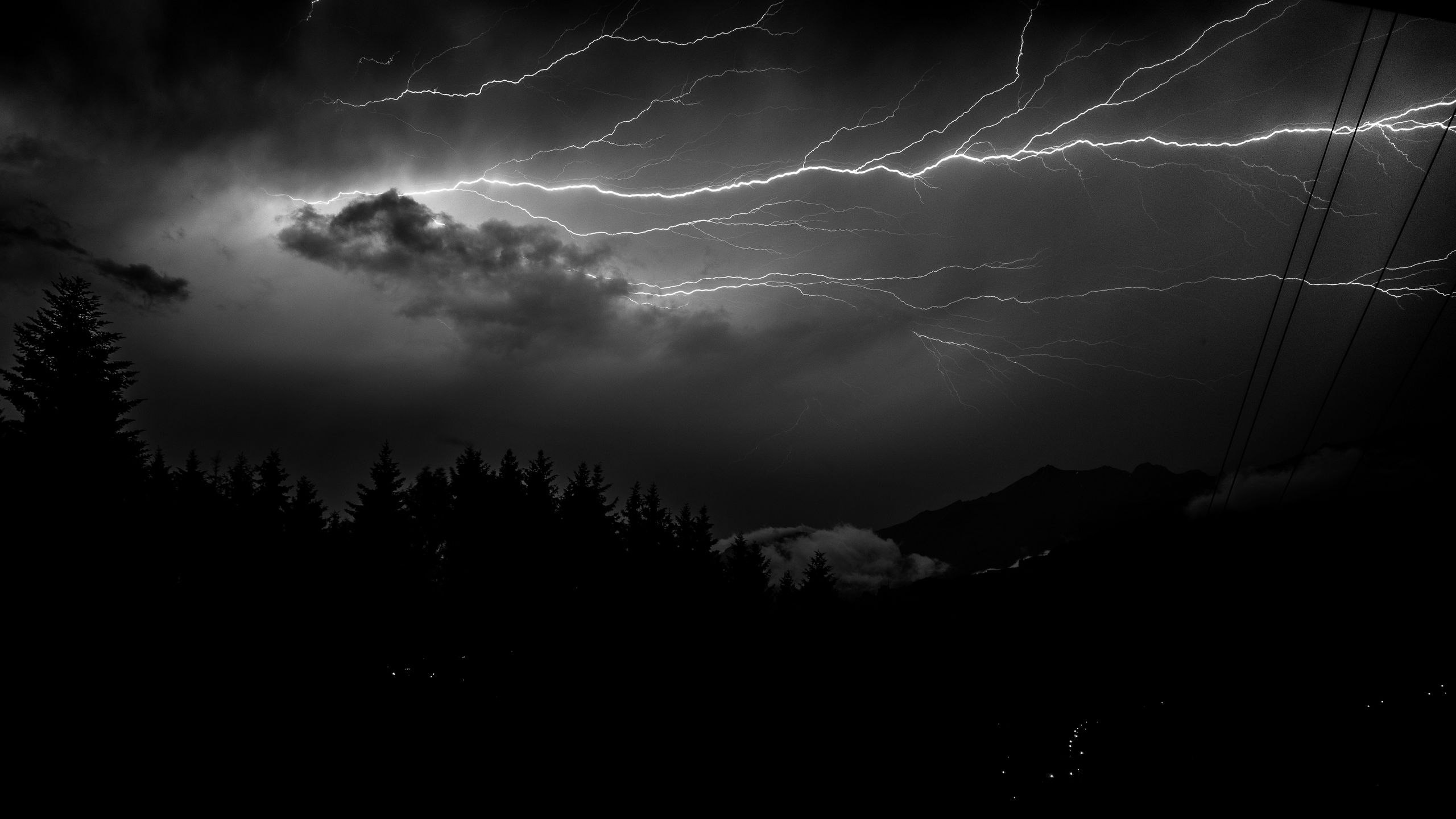 Download wallpaper 2560x1440 lightning, forest, spruce, bw widescreen 16:9 HD background