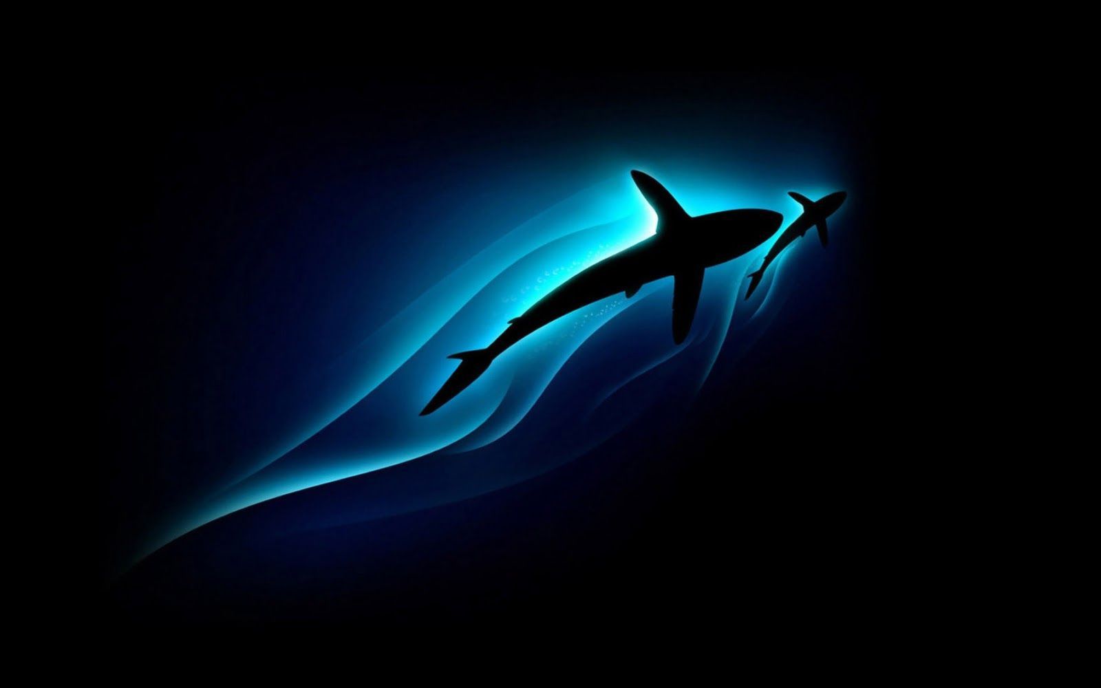 Abstract Shark Wallpaper, HD Abstract Shark Background on WallpaperBat