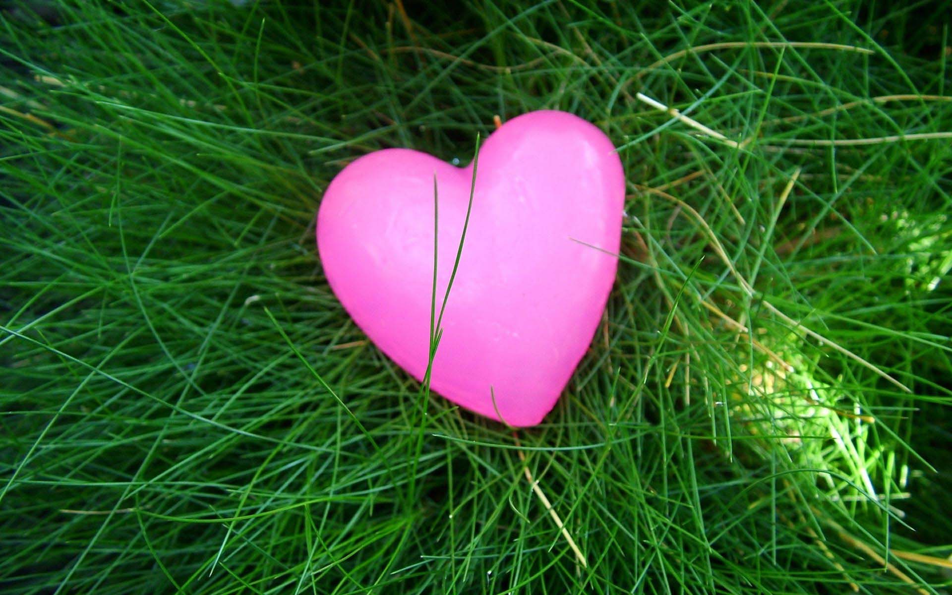 Pink Heart Wallpaper And Photo For Desktop Day Lawn Care