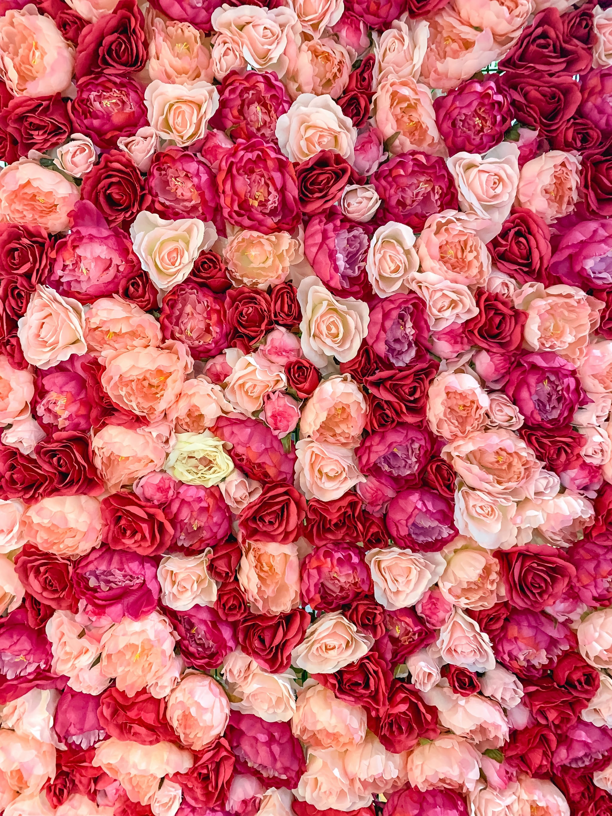 Valentine's Day Roses iPhone Wallpaper. The Dreamiest iPhone Wallpaper For Valentine's Day That Fit Any Aesthetic