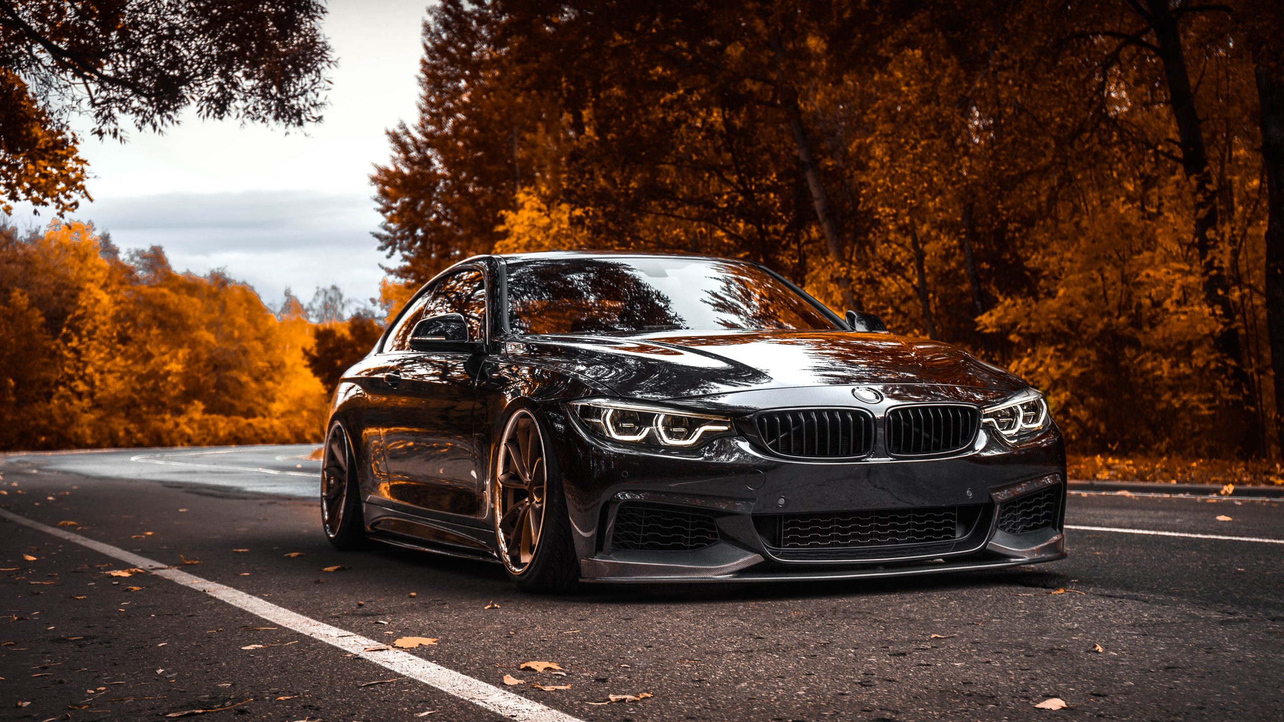 BMW Tuning 4 Series Black Metallic 4k Wallpaper