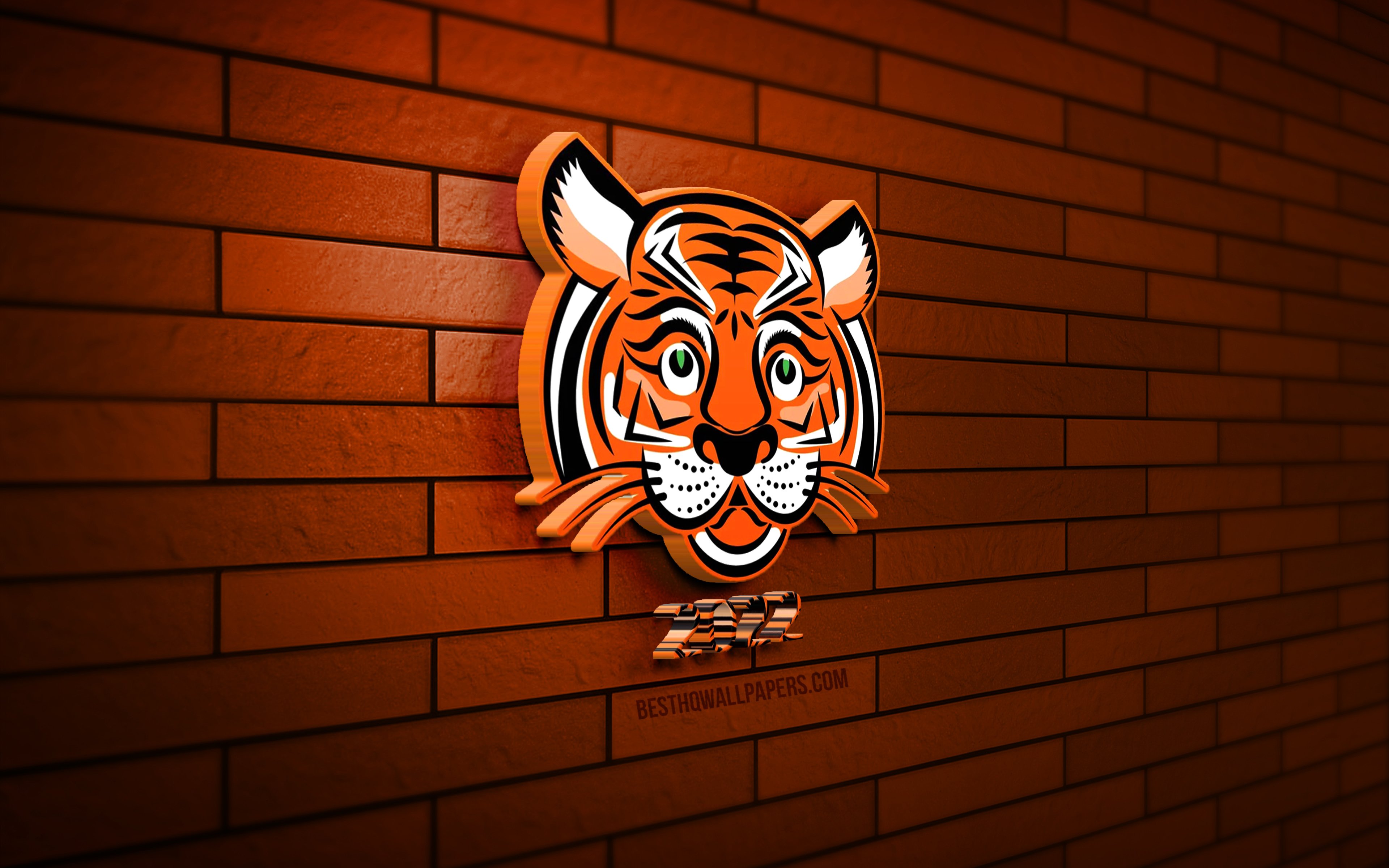Year Of The Tiger Wallpapers - Wallpaper Cave