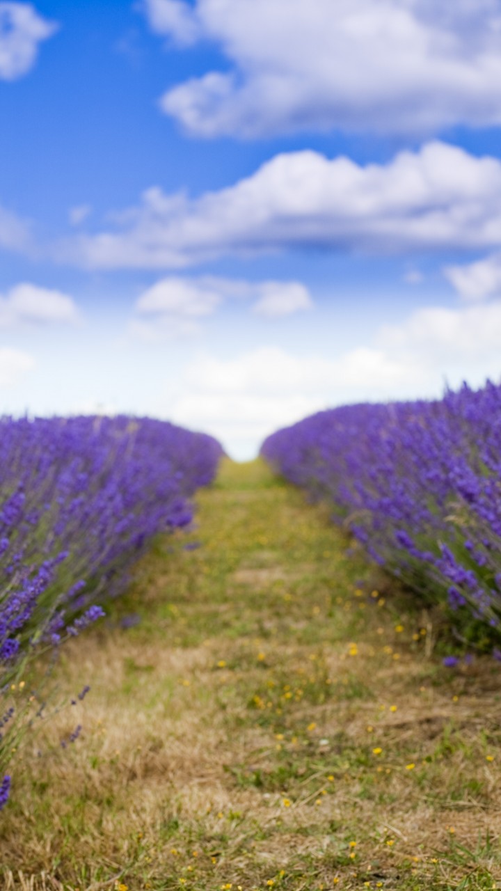 Lavender Clouds Wallpapers - Wallpaper Cave