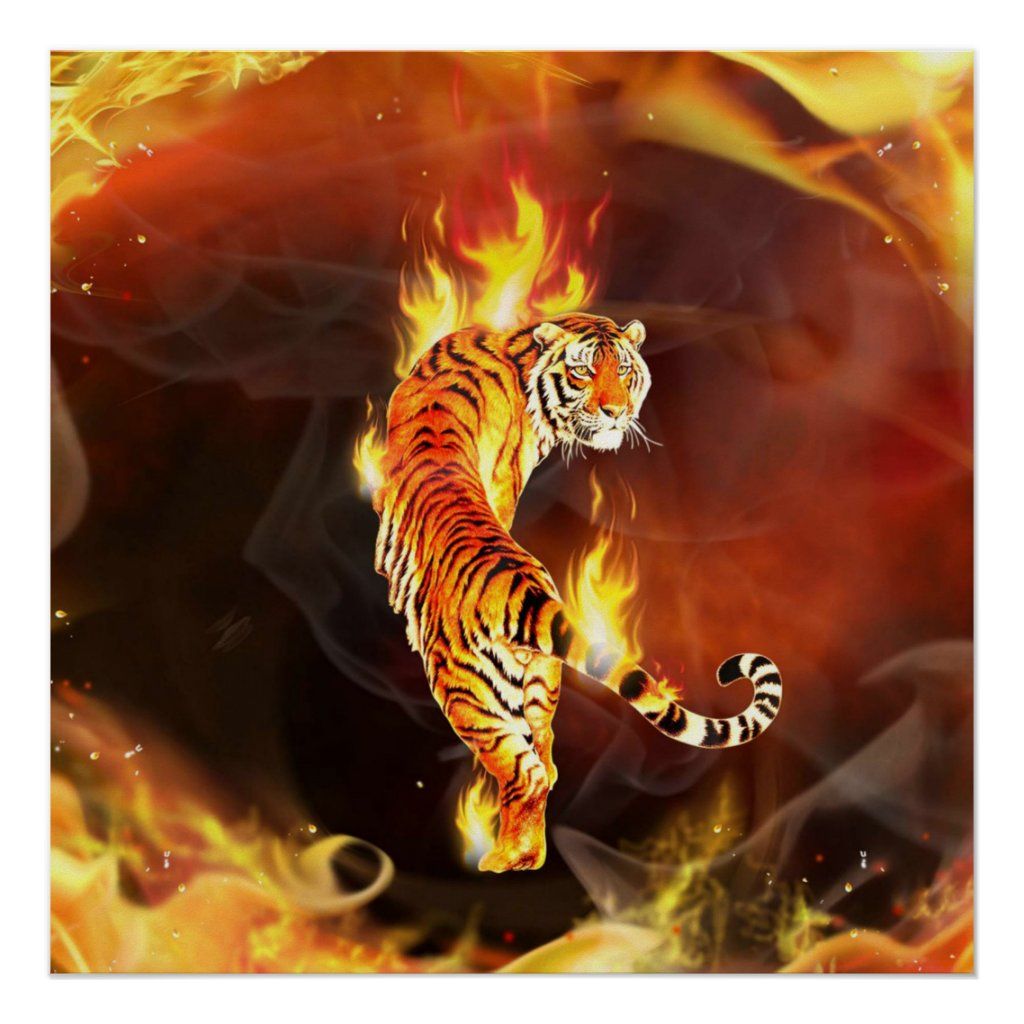 Chinese tiger painting poster. Zazzle.com. Tiger wallpaper, Tiger painting, Animal wallpaper