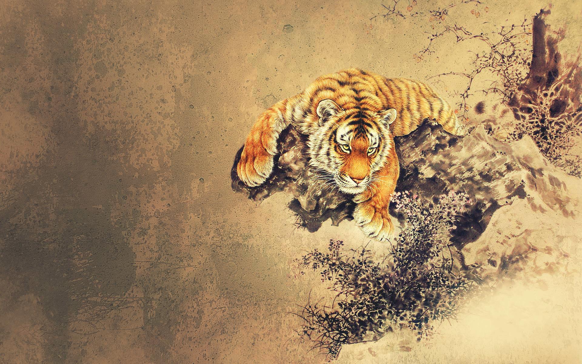 Dragon Tiger Wallpaper