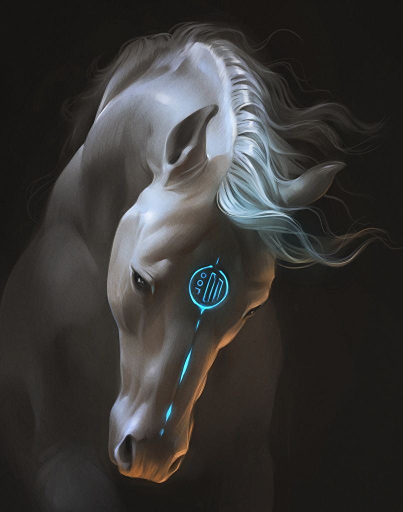 Photos Horses Fantasy Magical animals. Horses, Horse artwork, Fantasy horses