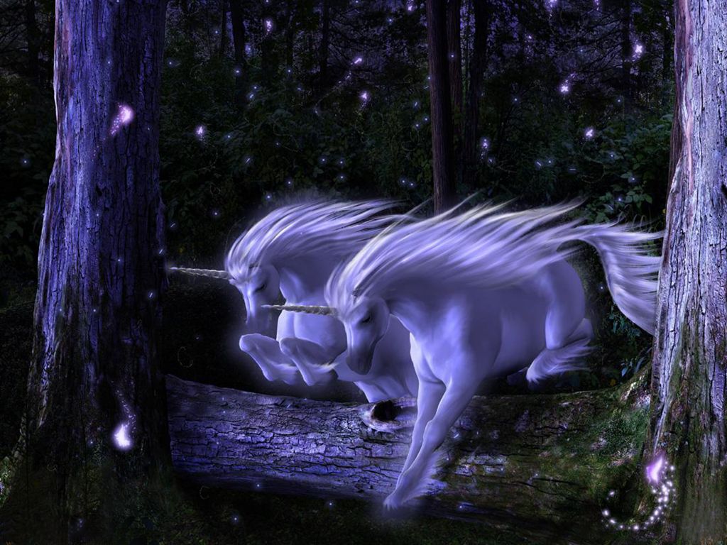 Enchanted, Fantasy, Horse, Sky, Stars, Tree, Unicorn, Horses Wallpaper & Background Download