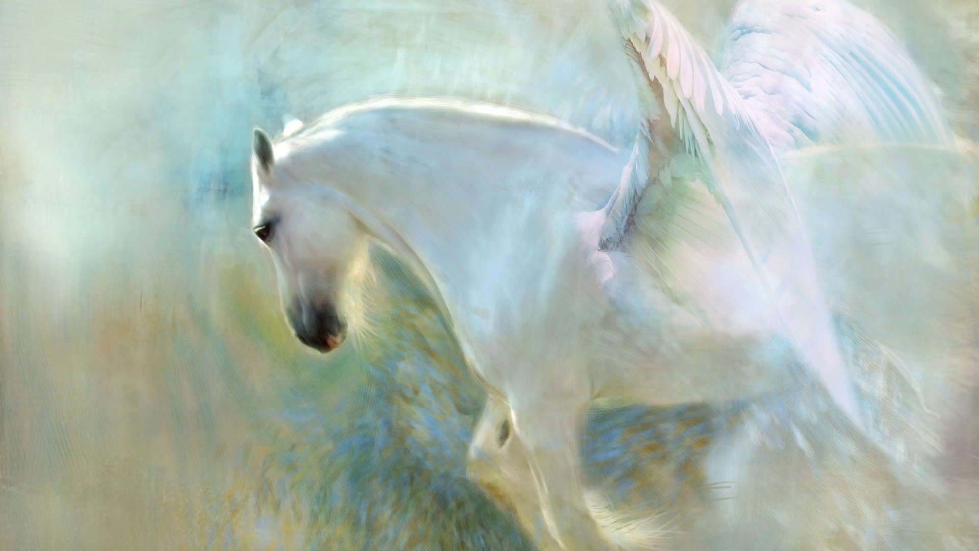 Magic Horses Wallpaper