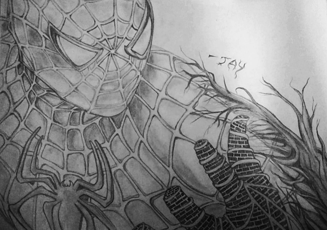 Spider Man Drawing, Pencil, Sketch, Colorful, Realistic Art Image