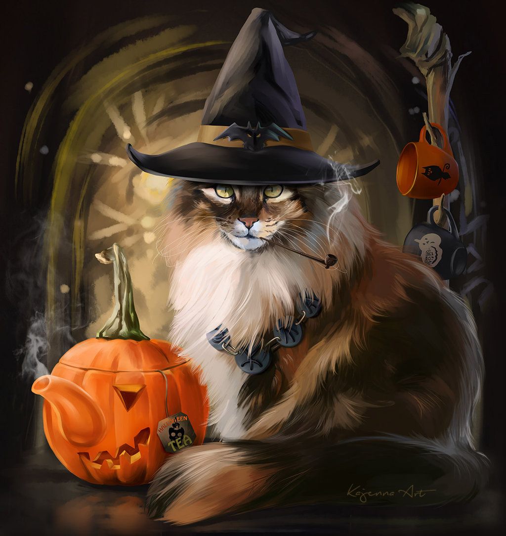 Beautiful Witch Cat Wallpaper