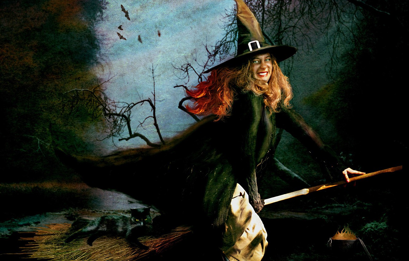 Photo Wallpaper Halloween, Witch, Broom, Black Cat Cat Desktop Witch