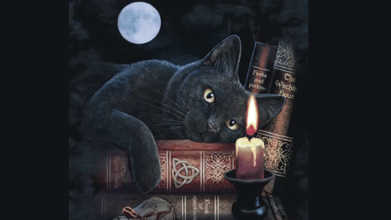 Witch Cat Wallpapers Wallpaper Cave