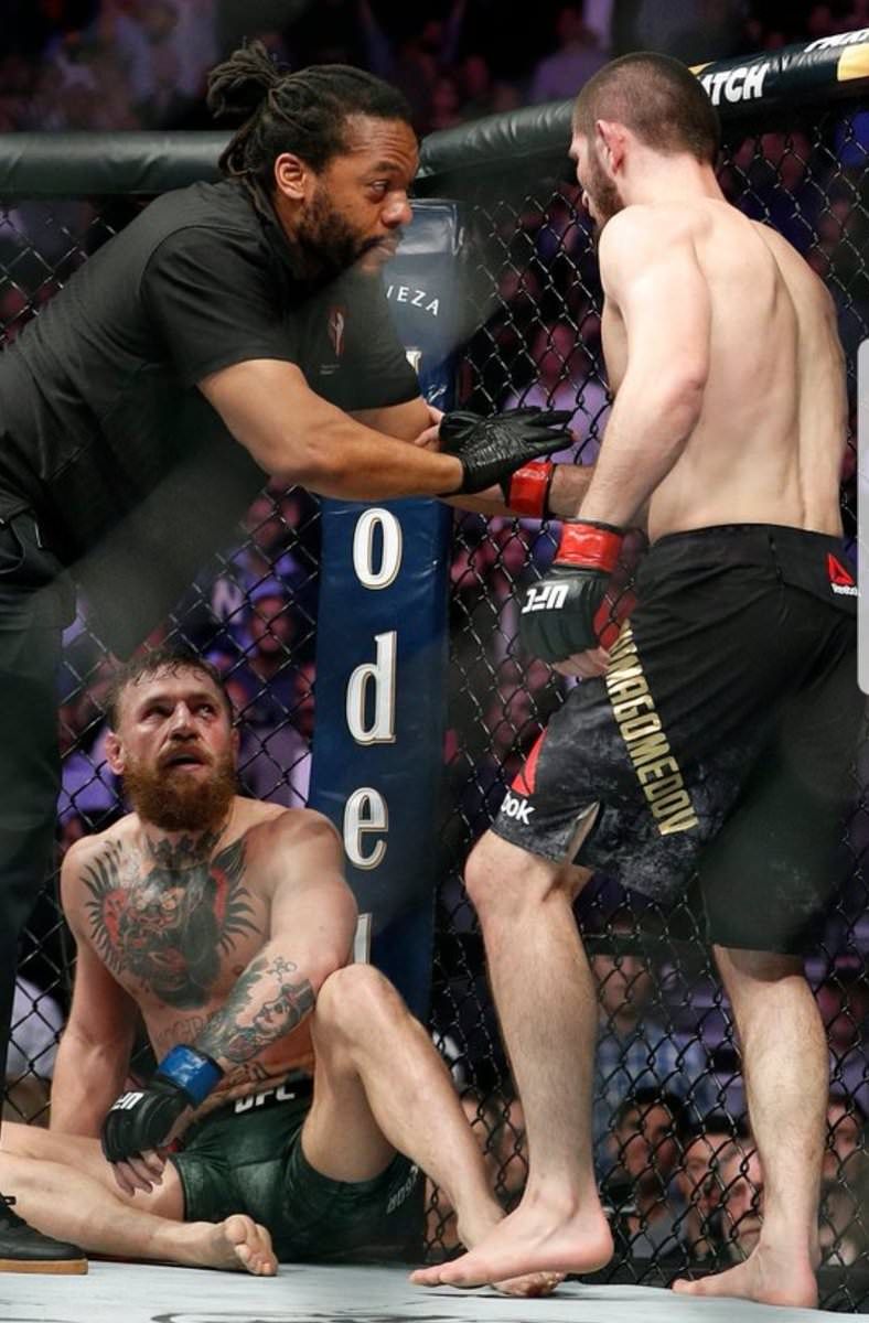 Spoiler Khabib Nurmagomedov vs Conor McGregor UFC Championship Fight MMA fans! A picture is worth a thousand words. Ufc boxing, Ufc fighters, Martial arts