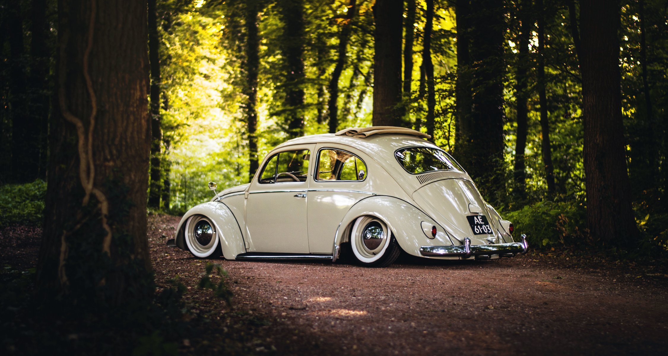 Volkswagen Beetle Sunroof Wheels Rear Trees Road Forest Beetle Wallpaper HD HD Wallpaper