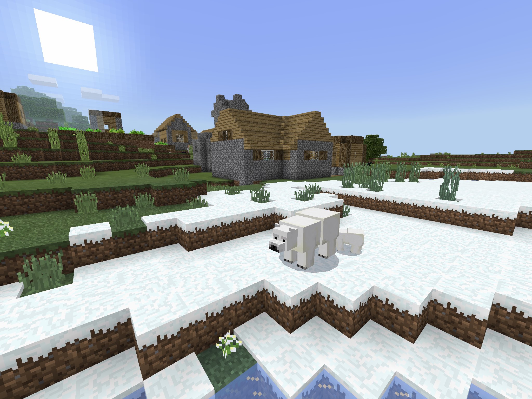 Free download Minecraft PE Snow SeedsBedrock Edition Snow Seeds [2048x1536] for your Desktop, Mobile & Tablet. Explore Minecraft Village Christmas Wallpaper. Minecraft Village Christmas Wallpaper, Christmas Village Background, Christmas