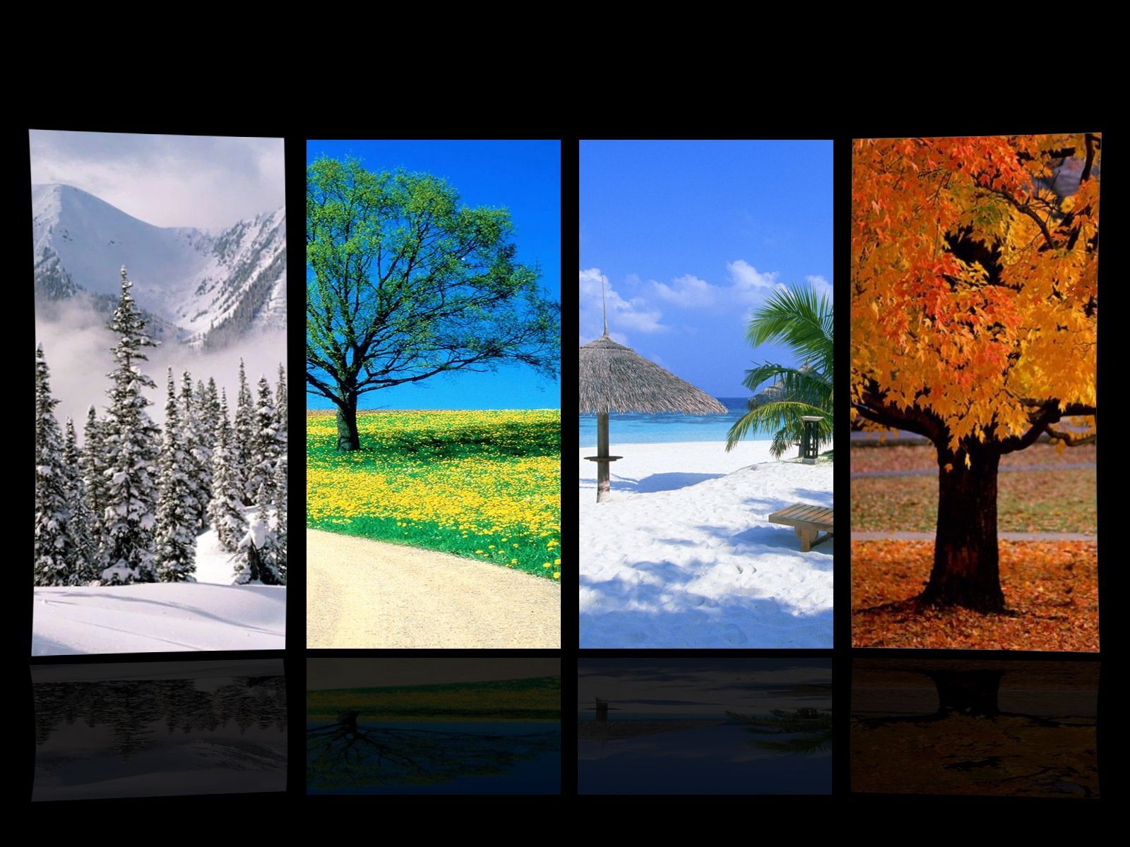 Seasons Wallpaper