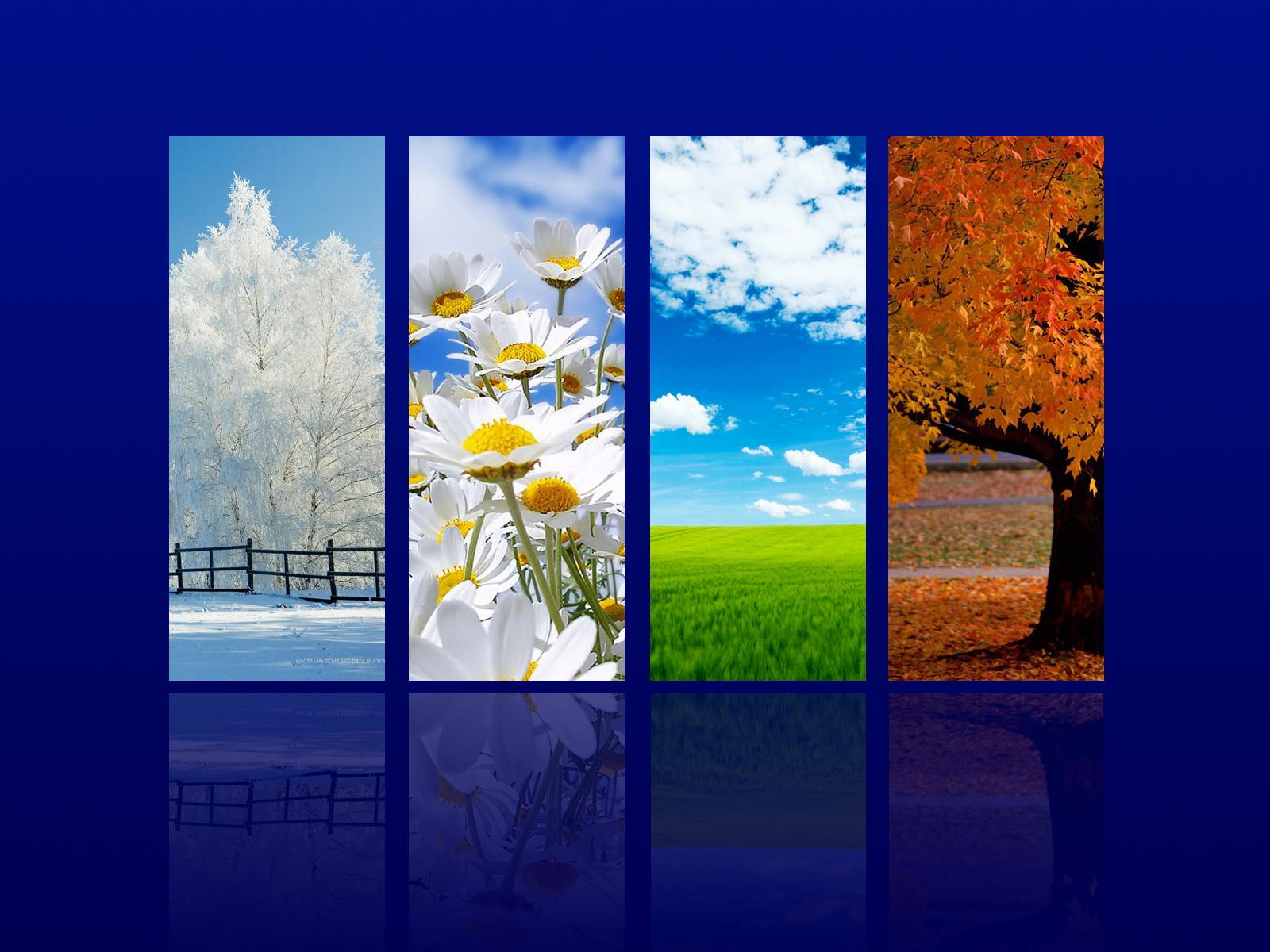 Four Seasons HD Wallpaper & Background Download