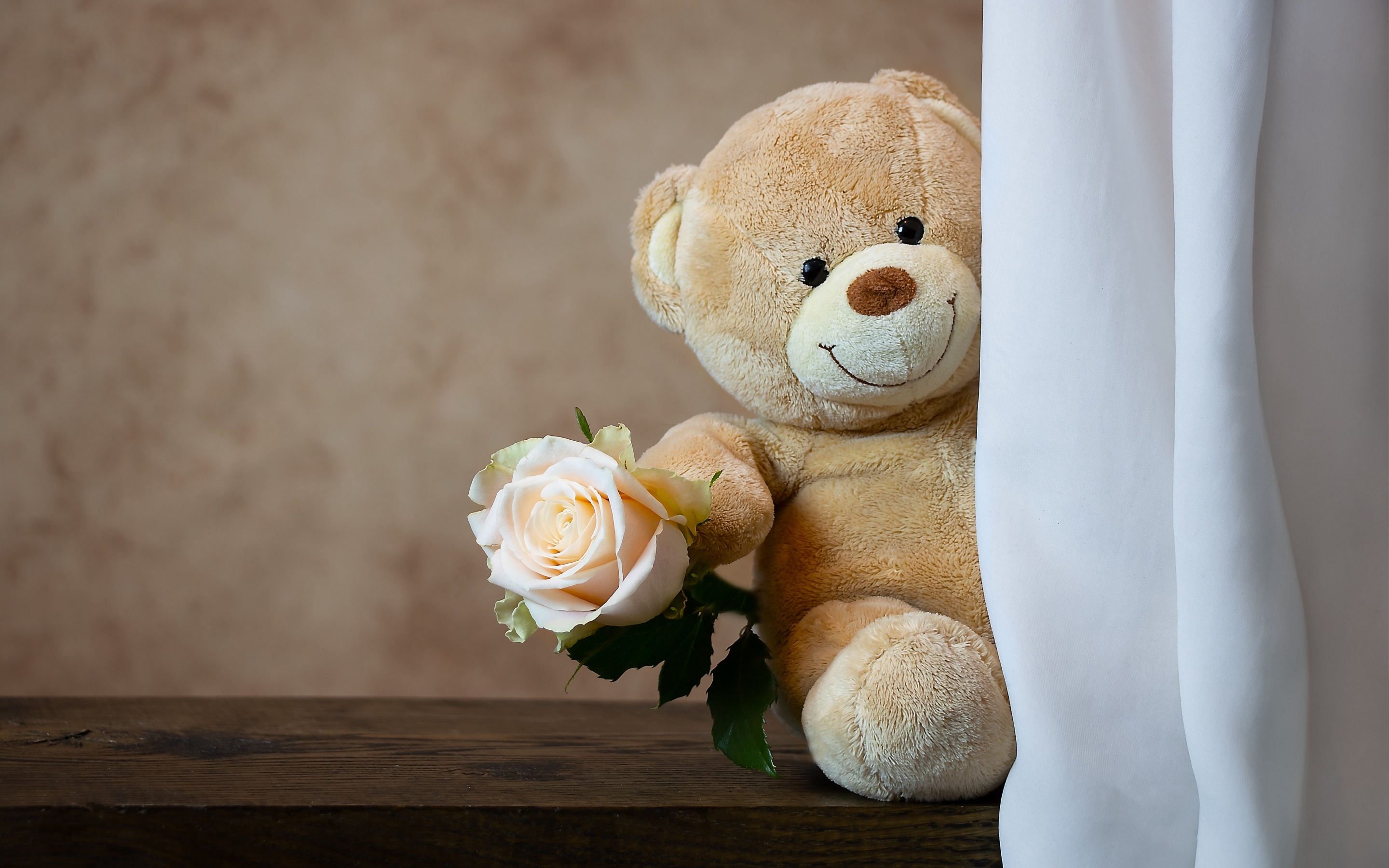 Teddy bear Wallpaper 4K, Rose, Cute toy